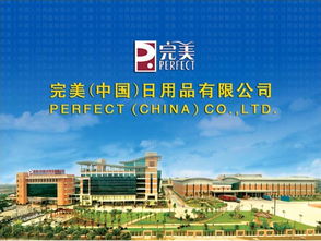 探索完美中国日用品的魅力与价值